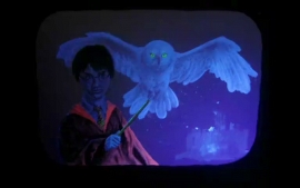 Harry in der Nacht